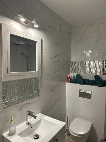 Koupelna v ubytování Apartament Orla