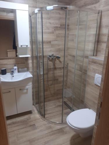 a bathroom with a shower with a toilet and a sink at Jahorina Apartman in Pale