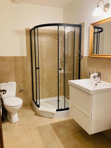 a bathroom with a shower and a toilet and a sink at Modryna - Modrzewiowy Dom in Cisna