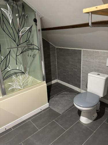 une salle de bain avec toilettes et douche dans l'établissement GITE AU CHAMP DU MOUTHIER, à La Vèze