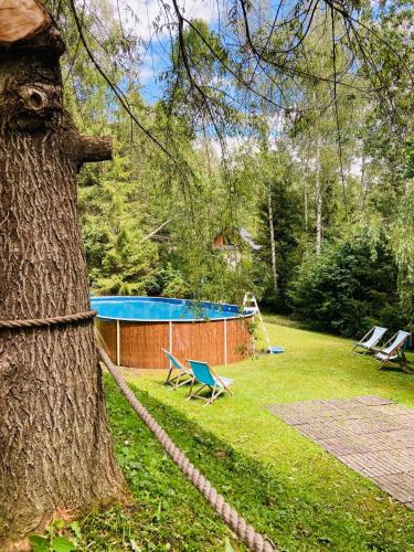 a tree with a rope around a swimming pool at Modryna - Modrzewiowy Dom in Cisna