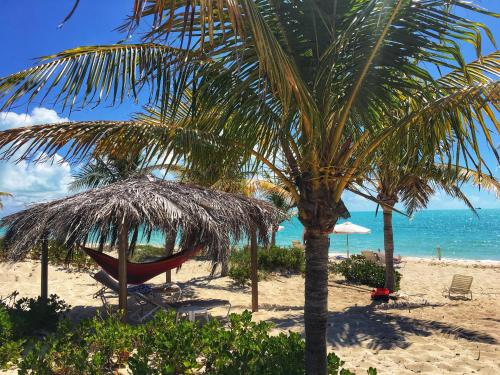 a hammock and a palm tree on a beach at Wyakha 2 Ocean View in Long Bay Hills