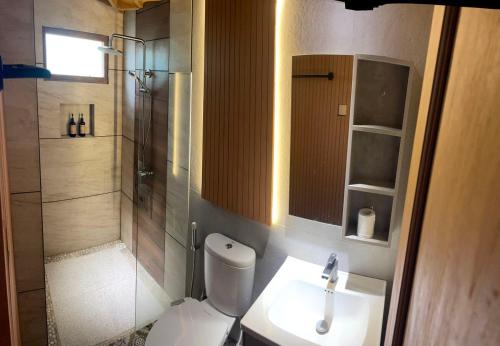 a bathroom with a shower and a toilet and a sink at Homestay Omah Embun in Godean