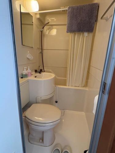 a small bathroom with a toilet and a sink at Glide Inn in Hakuba