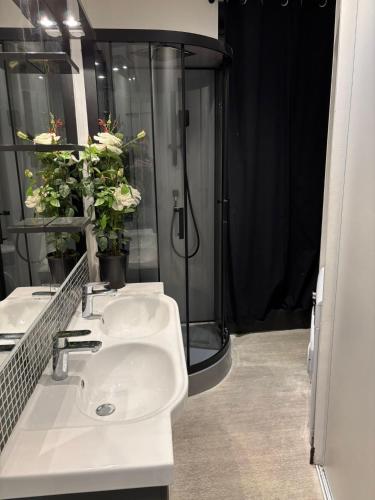 Phòng tắm tại Grande maison avec beaucoup de charme centre ville de Perpignan