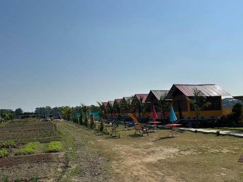 a group of chairs and umbrellas on a dirt road at Alpine Resort in Sivasagar