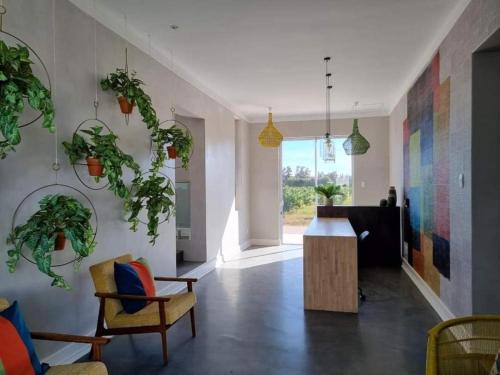 a living room with potted plants on the walls at Addo Park Suma's Rest in Addo