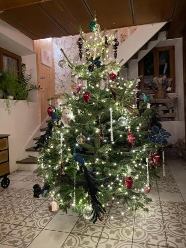 a christmas tree with lights in a room at Tiers Lieu 59 Grand Rue in Bouxwiller