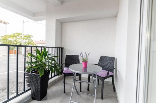 Sunny Bulevard Suite with Private Parking