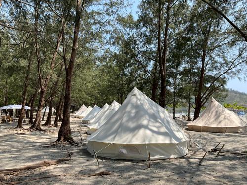 Příroda nedaleko luxury tent