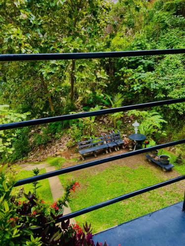 an overhead view of a garden with a bench and a fire hydrant at Talalla Wonder View in Talalla South