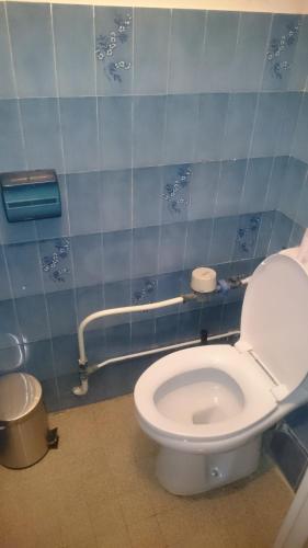 a bathroom with a toilet and a blue tiled wall at Chambre privée dans appartement en colocation à Grenoble A2C5 in Grenoble
