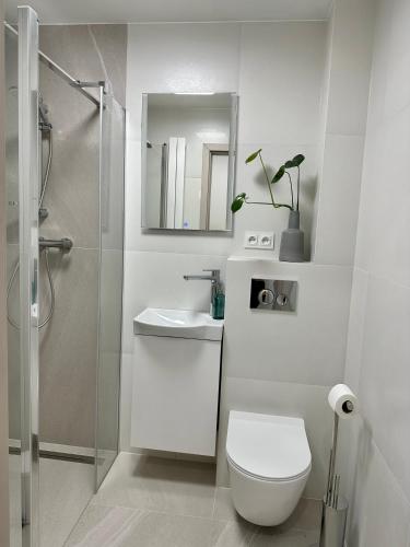 a white bathroom with a toilet and a sink at Tamaja 2 in Bielsko-Biała