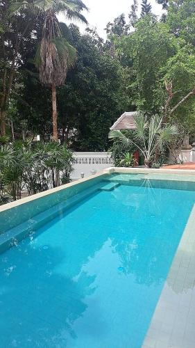 a large blue swimming pool with a palm tree in the background at O - HO Boutique Home in Baan Tai
