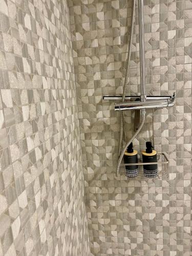 a bathroom with a shower with two toilets at Apartamento La Pinada in Tramacastilla de Tena