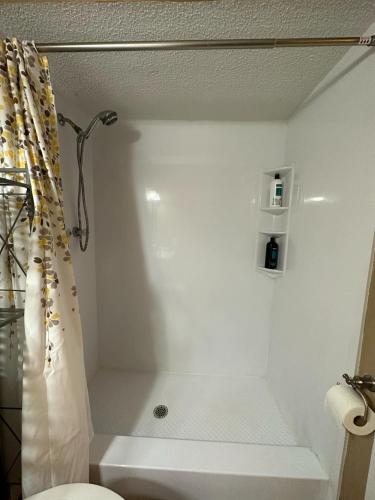 a bathroom with a shower with a shower curtain at Cozy Vacation home in Port Richey