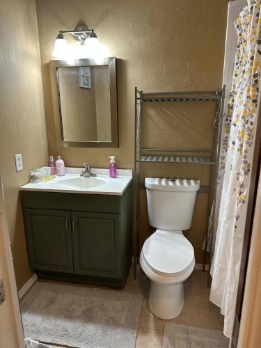 a bathroom with a toilet and a sink and a mirror at Cozy Vacation home in Port Richey