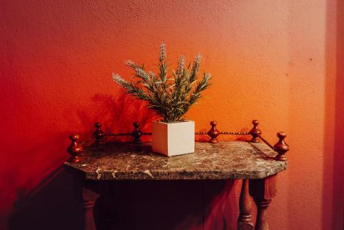 a potted plant sitting on a table in a room at Locanda La Brenva - Estella Hotel Collection & Experience in Courmayeur