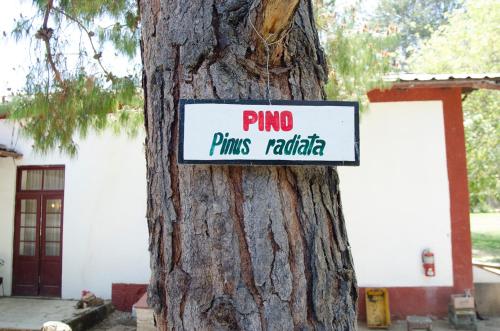 a sign on a tree that reads pino drums rattka at Centro Vacacional Huaychulo in Concepción