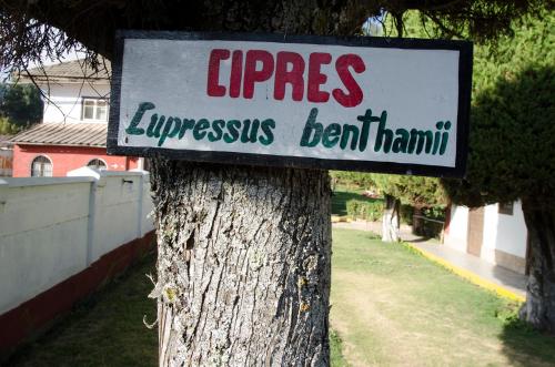 a sign on the side of a tree at Centro Vacacional Huaychulo in Concepción