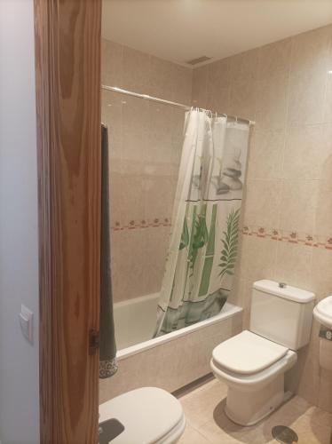 a bathroom with a toilet and a shower curtain at APARTAMENTO1 dormitorio in La Cala de Mijas