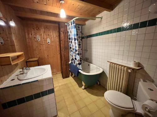 une salle de bain avec un lavabo, une baignoire et des toilettes dans l'établissement Gîte rural La Grange en pleine nature à La Pesse, à La Pesse