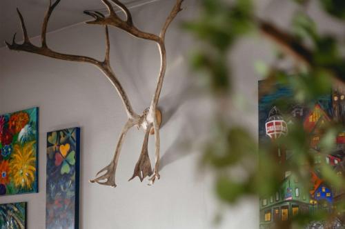 a bird hanging from a tree branch with paintings at Best Western Hotel Arctic Eden in Kiruna
