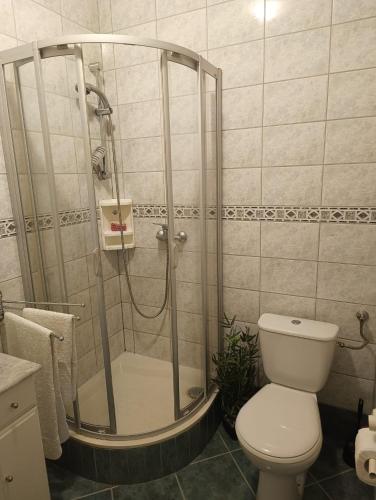 a bathroom with a shower and a toilet in it at Dom blisko lotniska i Areny Tarczyńskiego in Wrocław