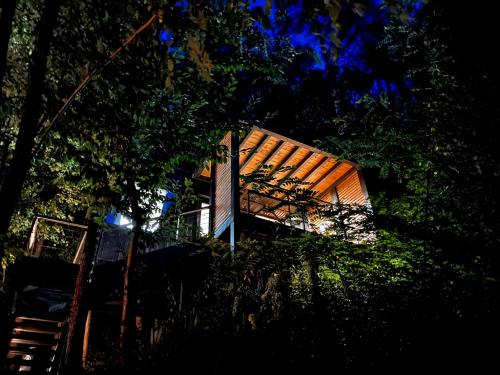 a house in the woods at night at Syrok Magasflash in Sirok