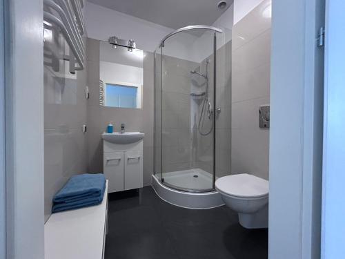 łazienka z prysznicem, toaletą i umywalką w obiekcie Apartamenty Sobieski w mieście Sopot
