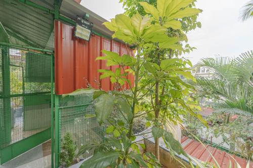 a tree in front of a building with a bird cage at UDUPI HOMESTAY Garden Villa in Udupi