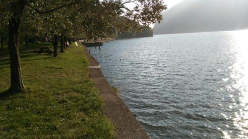 a body of water with trees and a bench next to it at Appartamento Bella Isola in Monte Isola