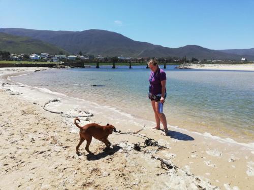a woman standing on the beach with a dog on a leash at Scenic Bliss Holiday Home in Kleinmond
