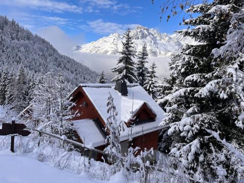 a cabin in the snow with a mountain in the background at Vrijstaand chalet in het groen met ruim terras en 6 slaapkamers in Oz