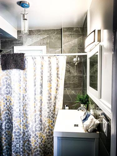 a bathroom with a shower curtain and a sink at The Horseshoe Villa 6br 2 Bath near the falls in Niagara Falls