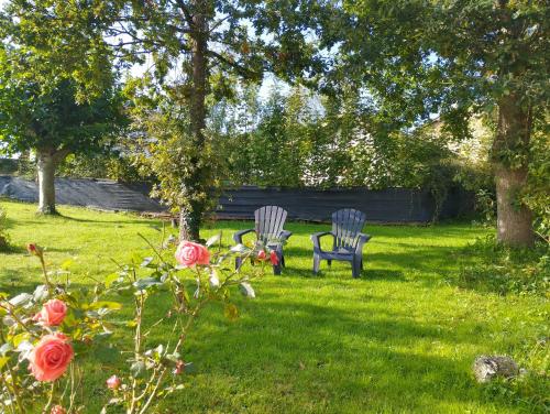 two chairs sitting in the grass in a yard at Solapetxea Loft rural in Elosu