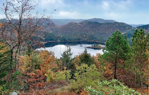 vista su un lago nel mezzo di una foresta di 2 Bedroom Cozy Home In Farsund a Farsund