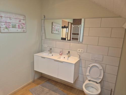 a bathroom with a toilet and a sink and a mirror at Panama RIO in Waulsort