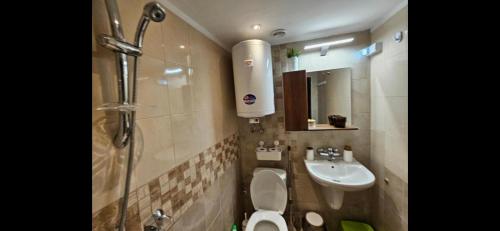 a bathroom with a shower and a toilet and a sink at Къща за гости -Абаджиевата къща in Kotel