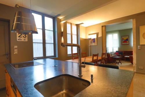 a kitchen with a sink and a living room at Le Chalet Saint Vincent in Seurre