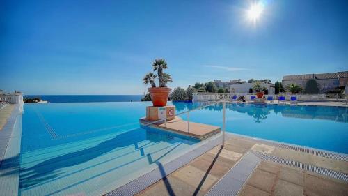 - une grande piscine avec une plante en pot dans l'établissement Escapade de Rêve à CANNES - Vue Mer Imprenable, Piscine, Tennis & Parking - À 9 min de la Croisette ! - Vlaminck, à Cannes