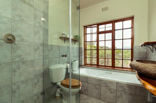a bathroom with a toilet and a tub and a window at Wolfkop Nature Reserve in Citrusdal