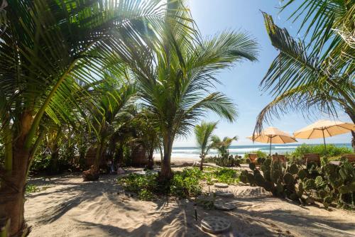 a beach with palm trees and umbrellas and the ocean at Casa Mariposa Beach Hotel in Tierra Blanca