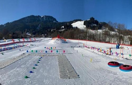 冬のHaus Fini - Ski In Ski Outの様子