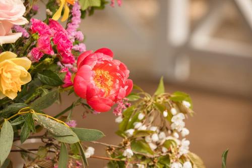 a bunch of flowers in a vase at Estate Of Ord in Muir of Ord