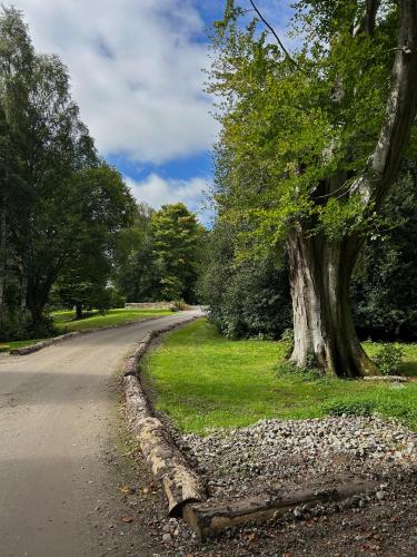 a tree on the side of a road at Estate Of Ord in Muir of Ord