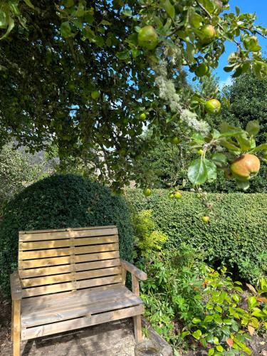 a wooden bench sitting under an apple tree at Estate Of Ord in Muir of Ord