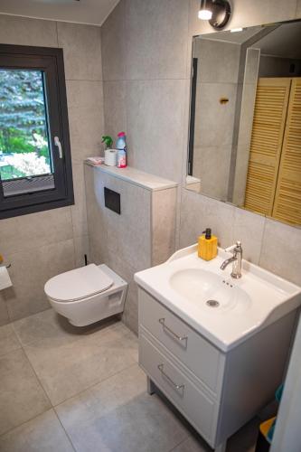a bathroom with a sink and a toilet and a mirror at Dom na wsi, Agroturystyka BlueBeaver in Wleń