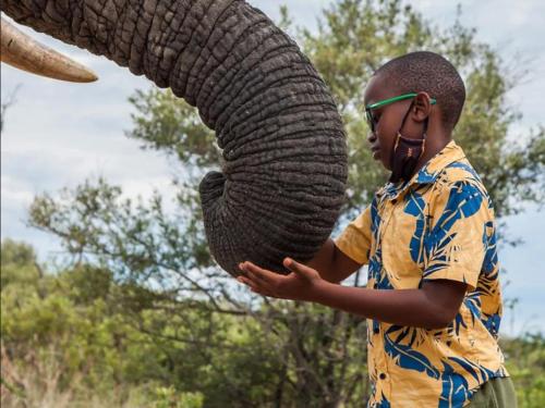 a boy holding the trunk of an elephant at Zebula Golf and Wildlife Estate - Jackals Call Pax 8 - Moi Signature Luxury villa in Mabula