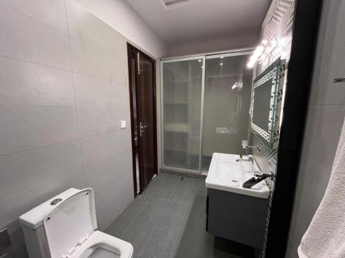 a bathroom with a toilet and a sink at Palm tree suites in Lahore